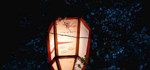 Photo metal lantern table lamp